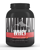 Universal Animal Whey Protein Powder 2270g (IRL)