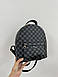 Жіночий Рюкзак Louis Vuitton Palm Springs Backpack Grey Chess, фото 6