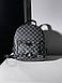 Жіночий Рюкзак Louis Vuitton Palm Springs Backpack Grey Chess, фото 8