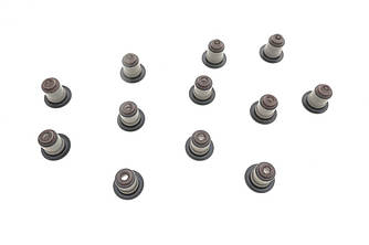 Сальник клапана (впуск) BMW 5 (E60)/6 (E63) 04-10 (к-кт), B58/N51/N52/N53/N55 REINZ 12-36866-01 UA62