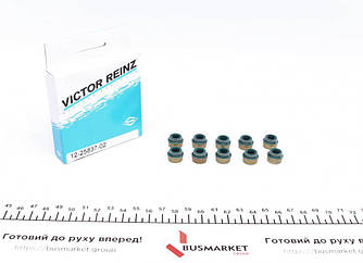 Сальник клапана (впуск/випуск) Fiat Ducato/Peugeot Boxer 1.8/2.0/1.9TDI (к-кт) REINZ 12-25837-02 UA62