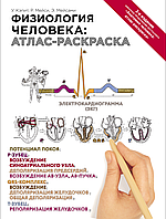 Физиология человека: атлас-раскраска. 2 издание