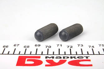 Болт форсунки регулюючий VW Caddy/T5 1.9TDI/2.0SDI 04- VAG WHT000530 UA62