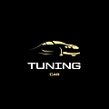 Tuning car