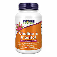 CHOLINE & INOSITOL 250/250mg - 100 vcaps