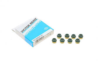 Сальник клапана (впуск/випуск) Fiat Ducato/Peugeot Boxer 1.8/2.0/1.9TDI (к-кт 8шт.) REINZ 12-25837-01 UA62