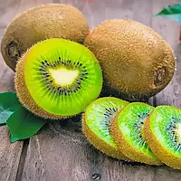 Як і коли садити саджанці ківі