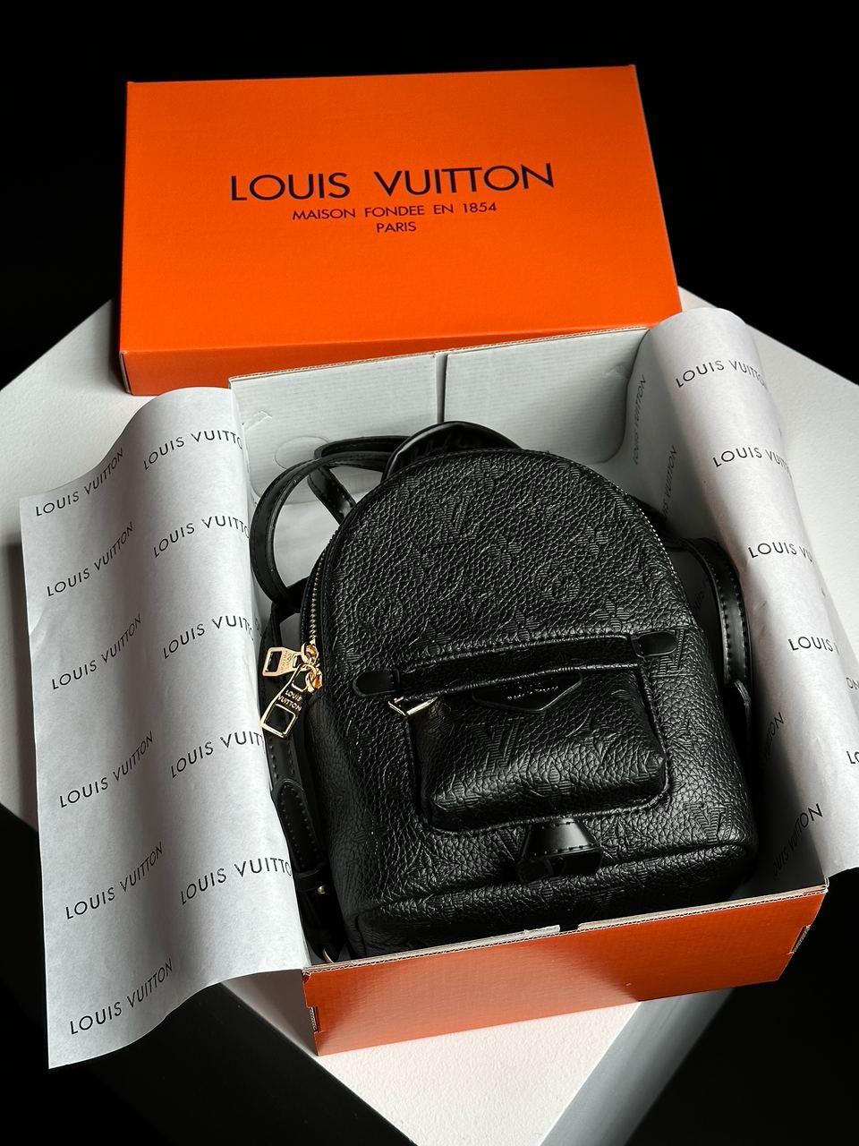 Жіночий Рюкзак Louis Vuitton Palm Springs Mini Black