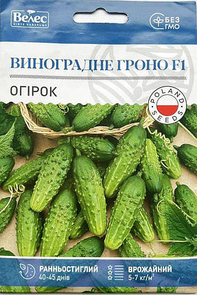 Насіння огірка Виноградне гроно F1 2,5 г ТМ ВЕЛЕС, фото 2