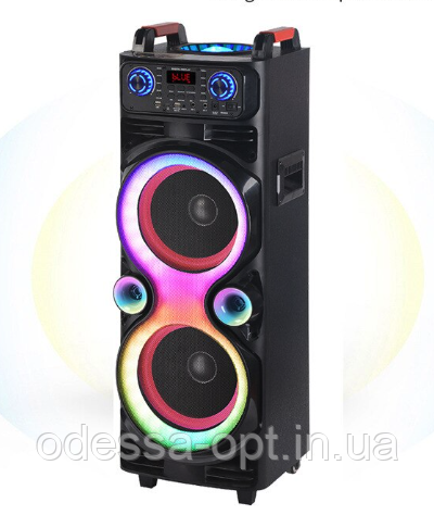 Портативна акустика NDR 1100 90cm