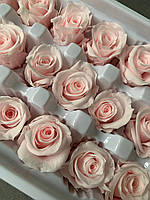 Роза мини розовая фарфоровая