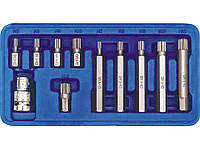 Набор бит Spline звёздочки M5-M12 11ед. Vorel 66770