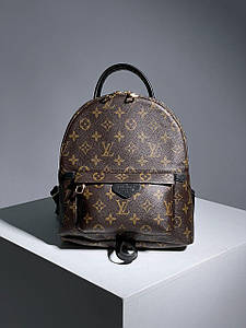 Жіночий Рюкзак Louis Vuitton Palm Springs Backpack Brown Black