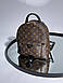 Жіночий Рюкзак Louis Vuitton Palm Springs Backpack Brown Black, фото 3