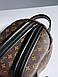 Жіночий Рюкзак Louis Vuitton Palm Springs Backpack Brown Black, фото 4