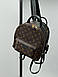 Жіночий Рюкзак Louis Vuitton Palm Springs Backpack Brown Black, фото 9