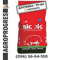 Стартова БМВД для поросят з 11 до 35 кг BIG PIG Start 25%, Фасовка 25 кг.