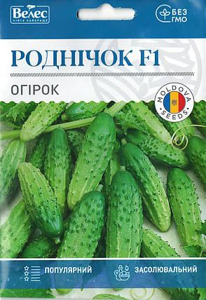 Насіння огірка Роднічок F1 2,5 г ТМ ВЕЛЕС, фото 1
