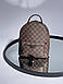 Жіночий Рюкзак Louis Vuitton Palm Springs Backpack Brown, фото 3