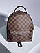 Жіночий Рюкзак Louis Vuitton Palm Springs Backpack Brown, фото 6