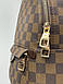 Жіночий Рюкзак Louis Vuitton Palm Springs Backpack Brown, фото 8