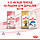 АКЦІЯ! Royal Canin Kitten (Роял Канін Кітен) сухий корм для кошенят від 4 до 12 місяців 2 КГ + 4 пауча У ПОДАРУНОК!, фото 10