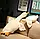 Якісна плюшева іграшка-подушка гусака обіймаю 50 см найкраща подушка антистрес для сну, фото 9