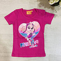 Футболки для дівчаток оптом, Disney, 98-128 рр., арт. PAW-GT-SHIRT-239, фото 2
