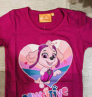 Футболки для дівчаток оптом, Disney, 98-128 рр., арт. PAW-GT-SHIRT-239, фото 3