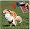 Ультразвуковий відлякувач від собак GTM NY 0027 кишеньковий засіб захисту від тварин Animal Chaser, фото 4