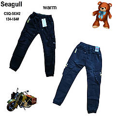 Штани з імітацією джинси утеплені для хлопчиків Seagull, Артикул: CSQ58342 [є:158,164]