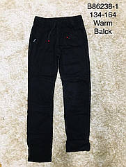 Котонові штани на флісі для хлопчиків, Артикул: B86238-1,134-164 рр. [є:134,158,164]