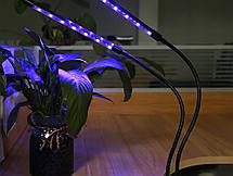 Фітолампа четверна для рослин, 60 Вт, повний спектр із таймером і регулюванням яскравості, фото 3