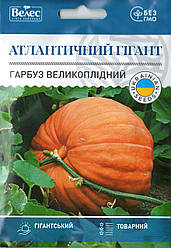 Насіння гарбуза Атлантичний гігант 10г ТМ ВЕЛЕС