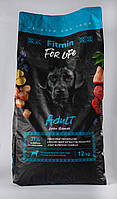 Сухой корм Fitmin For Life Adult large breeds для собак больших и гигантских пород 15-18 мес до 7 лет 12 кг