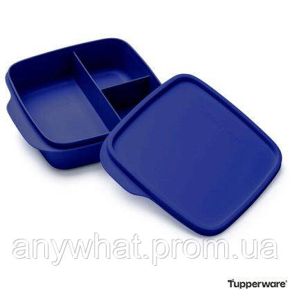 Контейнер с разделителем "Школьник", (550 мл) синий Tupperware - фото 1 - id-p1818514219