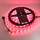 Світлодіодна стрічка LED 5050 RGB 5м з пультом та блоком живлення - фото 8 - id-p1506048921
