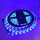 Світлодіодна стрічка LED 5050 RGB 5м з пультом та блоком живлення - фото 1 - id-p1506048921