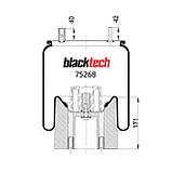 Пневмоподушках RML75268CP5 (BLACKTECH), фото 2