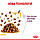Royal Canin Sensory Taste Jelly вологий корм для кішки стимулює смакові рецептори в желе, 85 гр 12 шт, фото 8