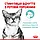 Royal Canin Sensory Feel Jelly вологий корм для кішки стимулює тактильні рецептори в желе, 85 гр 12 шт, фото 5