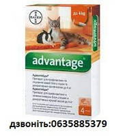 Капли Bayer Адвантейдж 40 кот до 4 кг (упаковка)