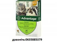 Капли Bayer Адвантейдж 80 кот от 4кг до 8кг 4пип.