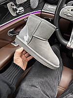 Зимние женские ботинки UGG Mini Grey Suede (лак.пятка)