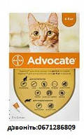 Bayer Advocate для котов 0,4 мл.(упаковка) до 4 кг