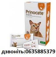 Принокат (Prinocate) Cпот-он для кошек до 4 кг капли от блох.