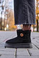 Зимние женские ботинки UGG Mini Bailey Button Plarform Black (No Name)