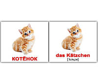 Карточки мини русско-немецкие Домашние животные/Haustiere 20 карт., в пак. 10*9см, ТМ Вундеркинд с пеленок,