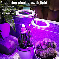 Світлодіодна фітолампа для кімнатних рослин із таймером 2 кільця 40 червоно-синіх діодів