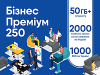 Тарифный план «Бизнес Премиум 250»